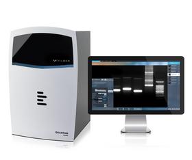 Quantum CX5